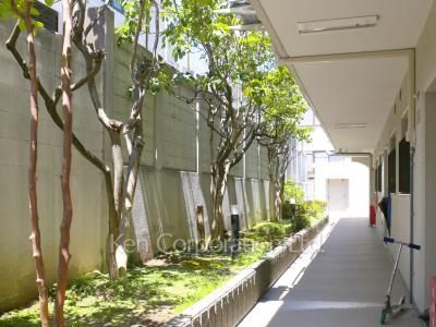 大森パークホームズの写真 共用廊下