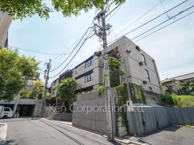 パレロワイヤル南麻布の写真 外観ひき