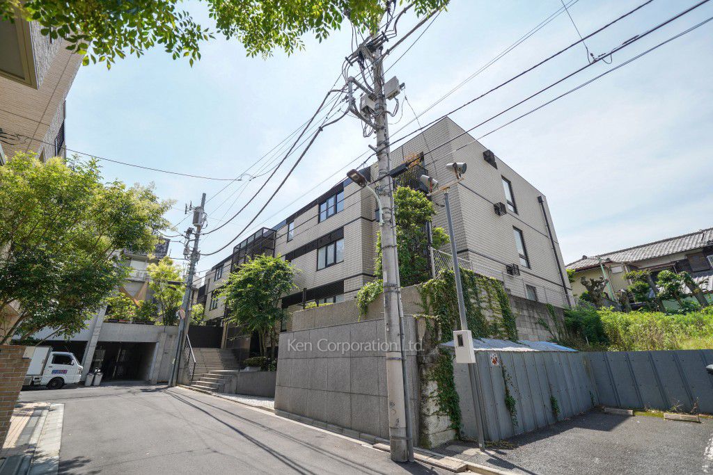 パレロワイヤル南麻布の写真 外観ひき