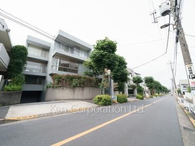 ラフィーネ029の写真 前面道路