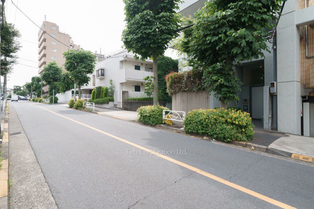 ラフィーネ029の写真 前面道路
