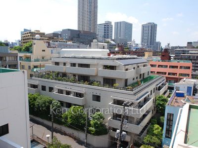 赤坂新坂ハウスの写真 外観ひき