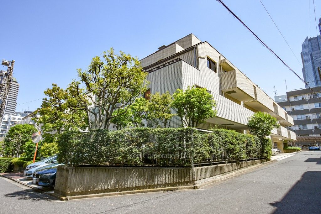 赤坂新坂ハウスの写真 外観ひき