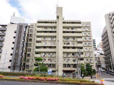  外観ひき