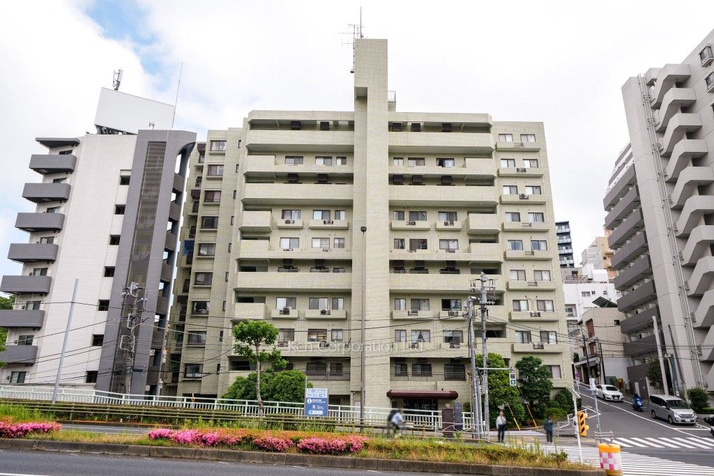 外観ひき