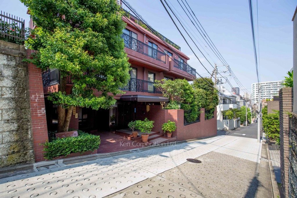 ドムス南麻布 東館の写真 外観ひき
