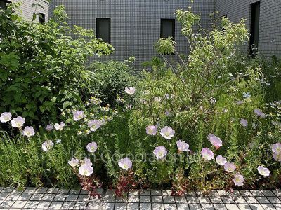  中庭・植栽