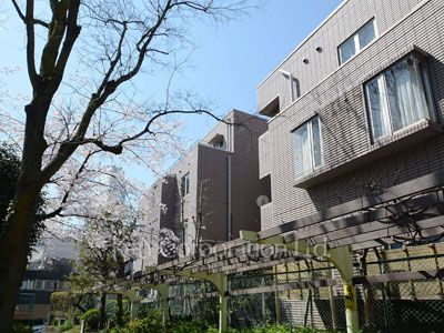 外観ひき