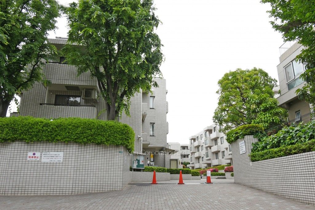  外観ひき