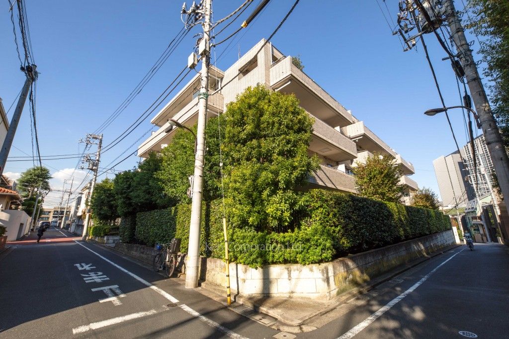  外観ひき