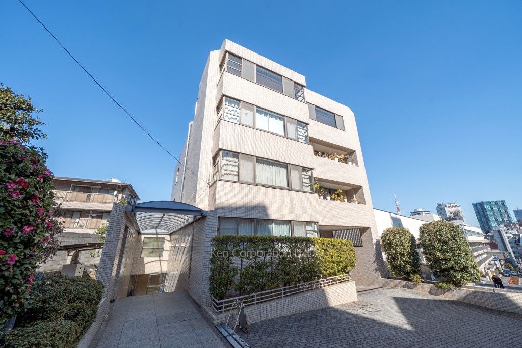 元麻布三田ハウスの写真 外観ひき