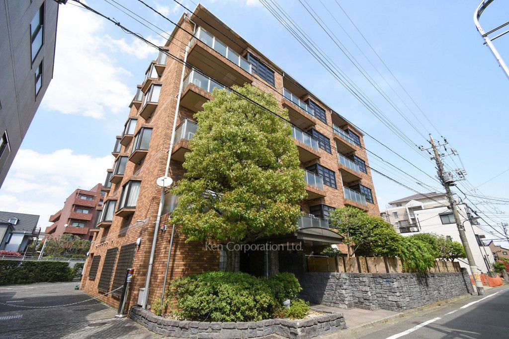 マイネ ブルクの写真 外観ひき