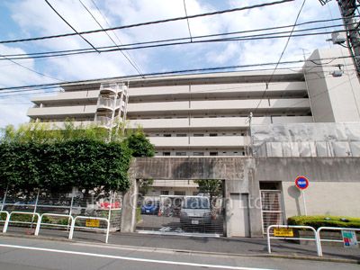 ステラメゾン武蔵小山の写真 外観ひき