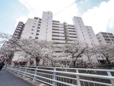  外観ひき
