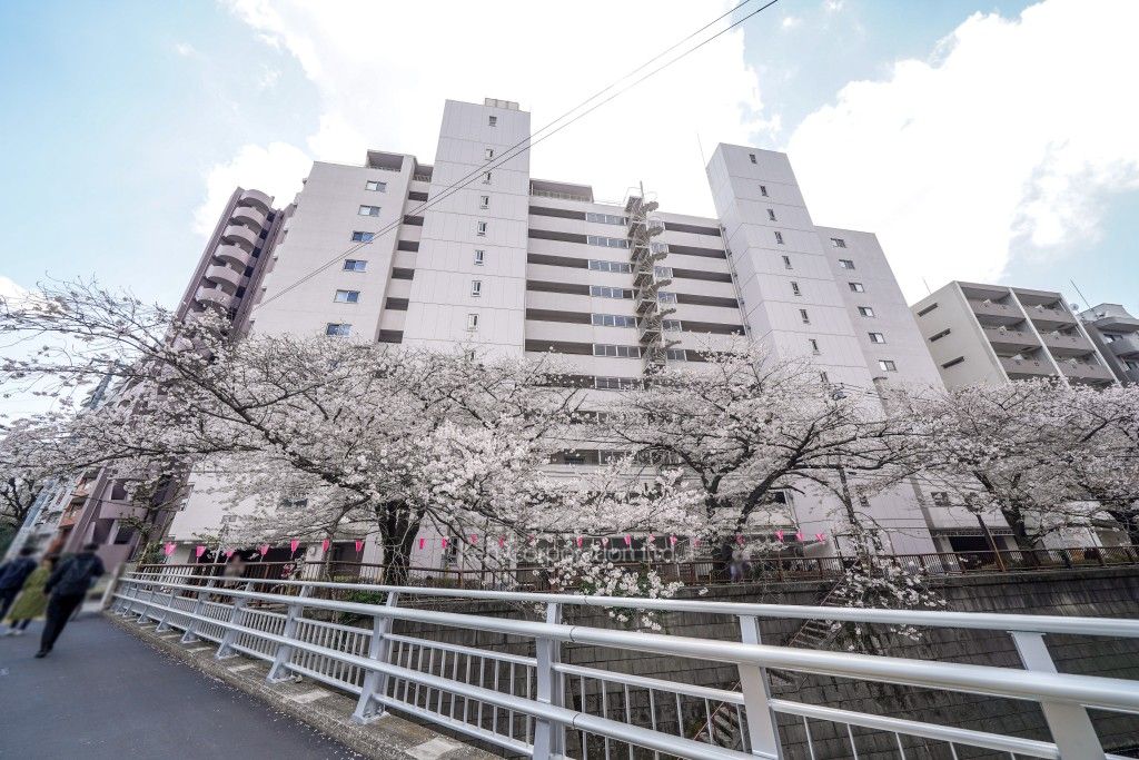  外観ひき