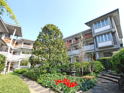 泰山館の写真 外観ひき