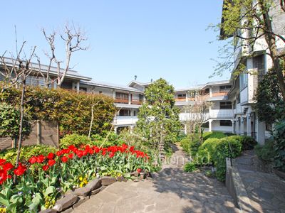 泰山館の写真 外観ひき