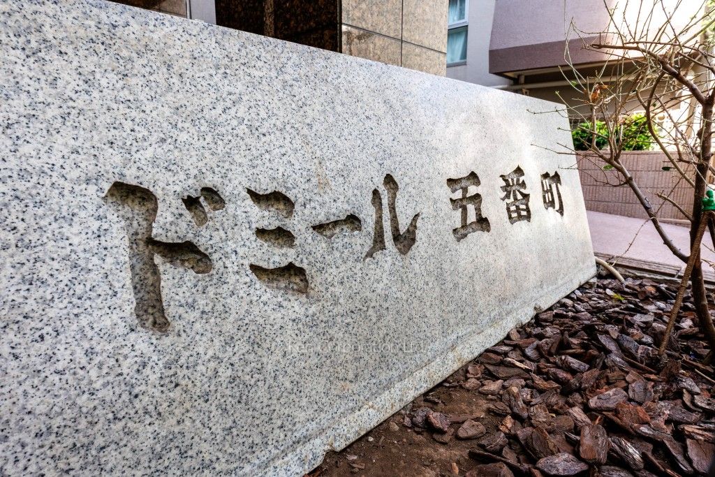 ドミール五番町の写真 マンションプレート