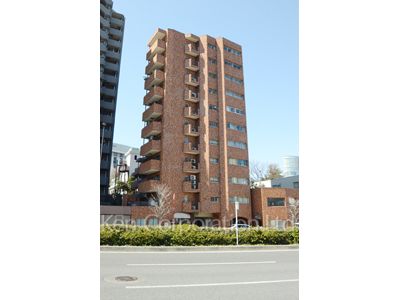  外観ひき
