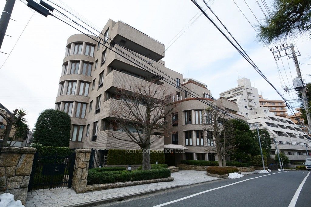 ルミアン目黒平町の写真 外観ひき