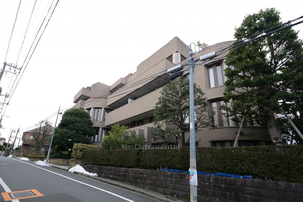 ルミアン目黒平町の写真 外観ひき