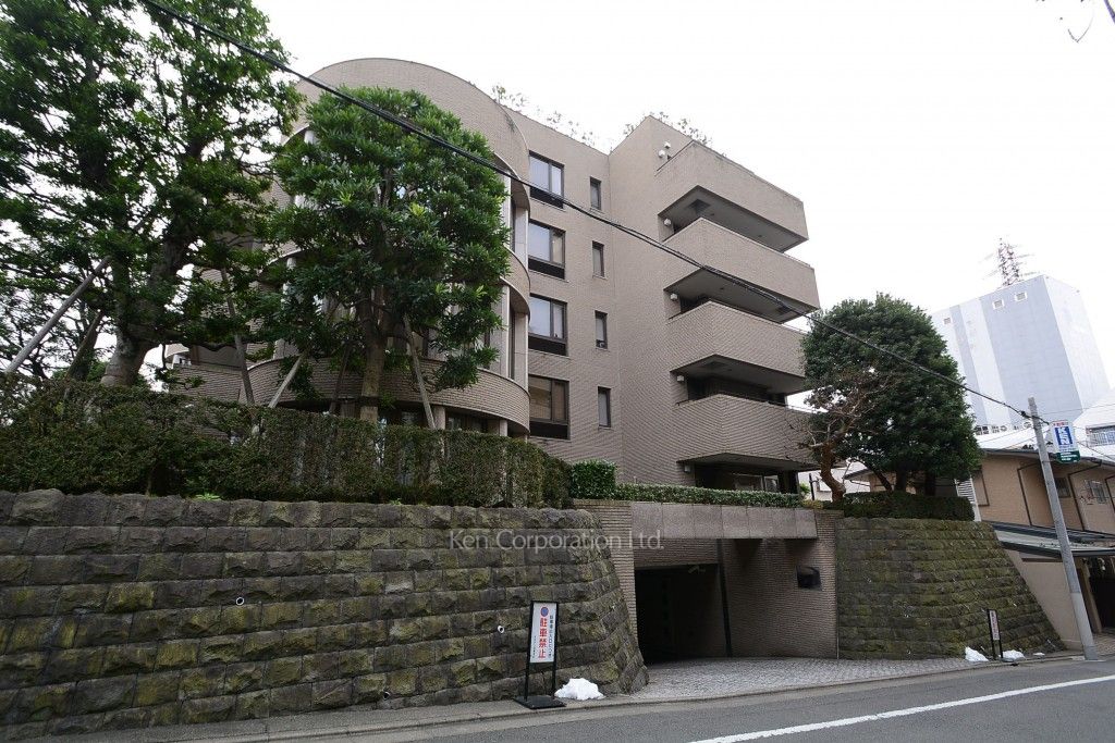 ルミアン目黒平町の写真 外観ひき