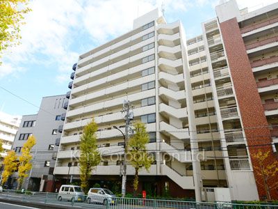 ユーカリハイツ都立大の写真 外観ひき