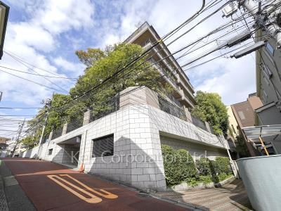 ドムス南麻布の写真 外観ひき