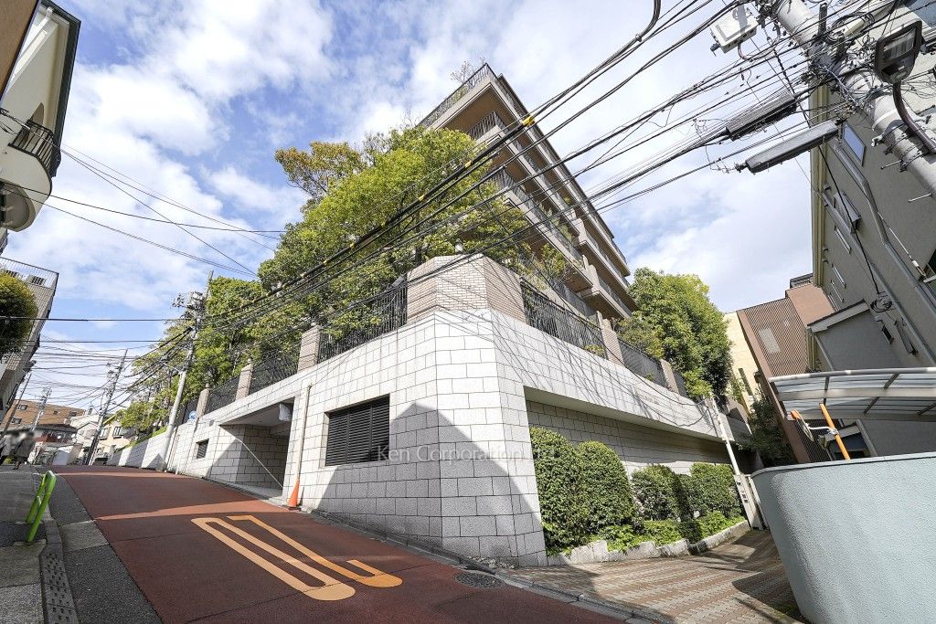 ドムス南麻布の写真 外観ひき