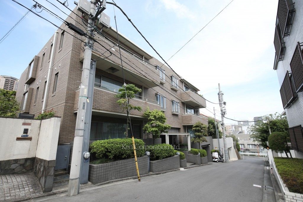  外観ひき