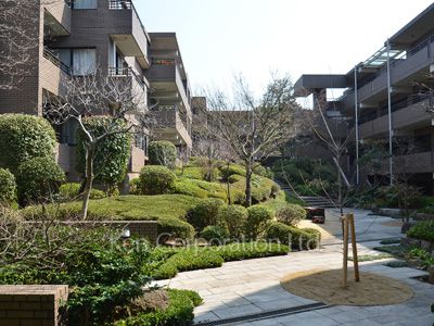 シティコート代々木の写真 中庭