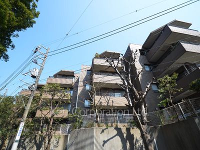シティコート代々木の写真 外観ひき