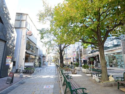 アルス自由が丘の写真 遊歩道