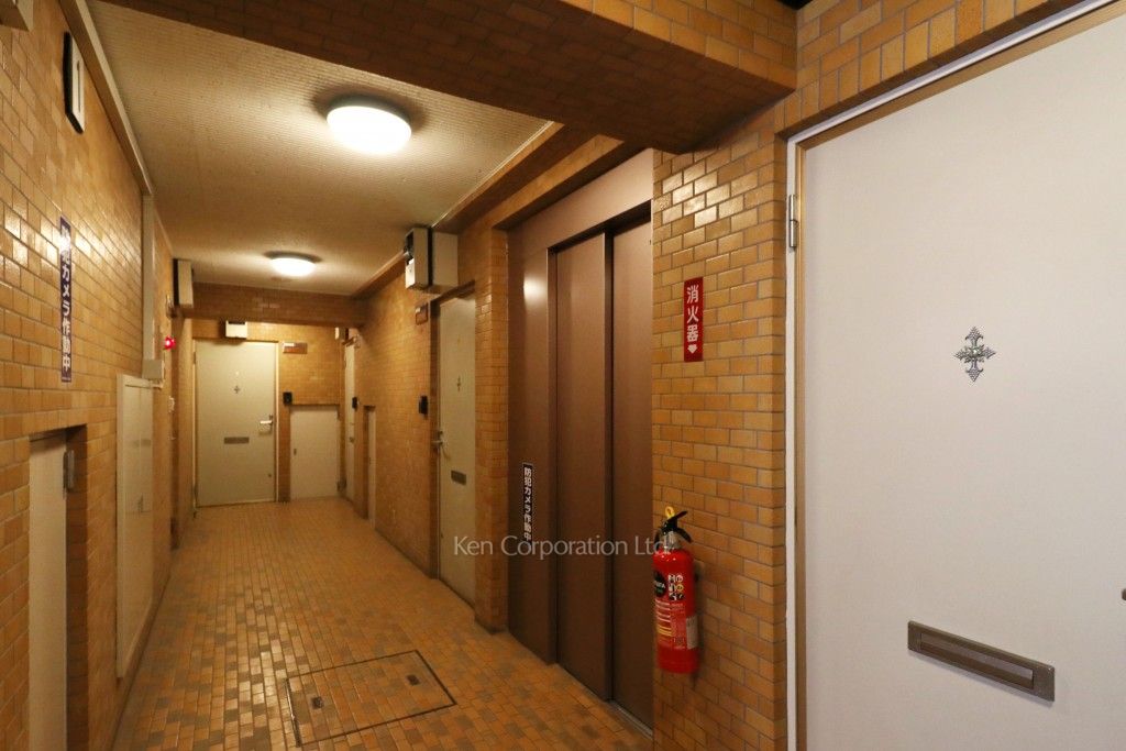 ダイアパレス駒場の写真 共用廊下