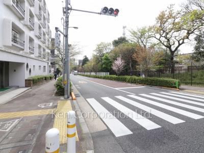 サンハイム目黒の写真 前面道路