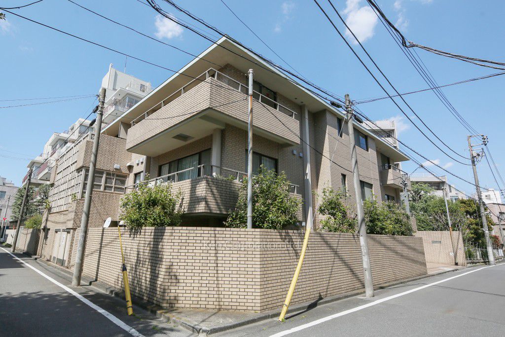  外観ひき