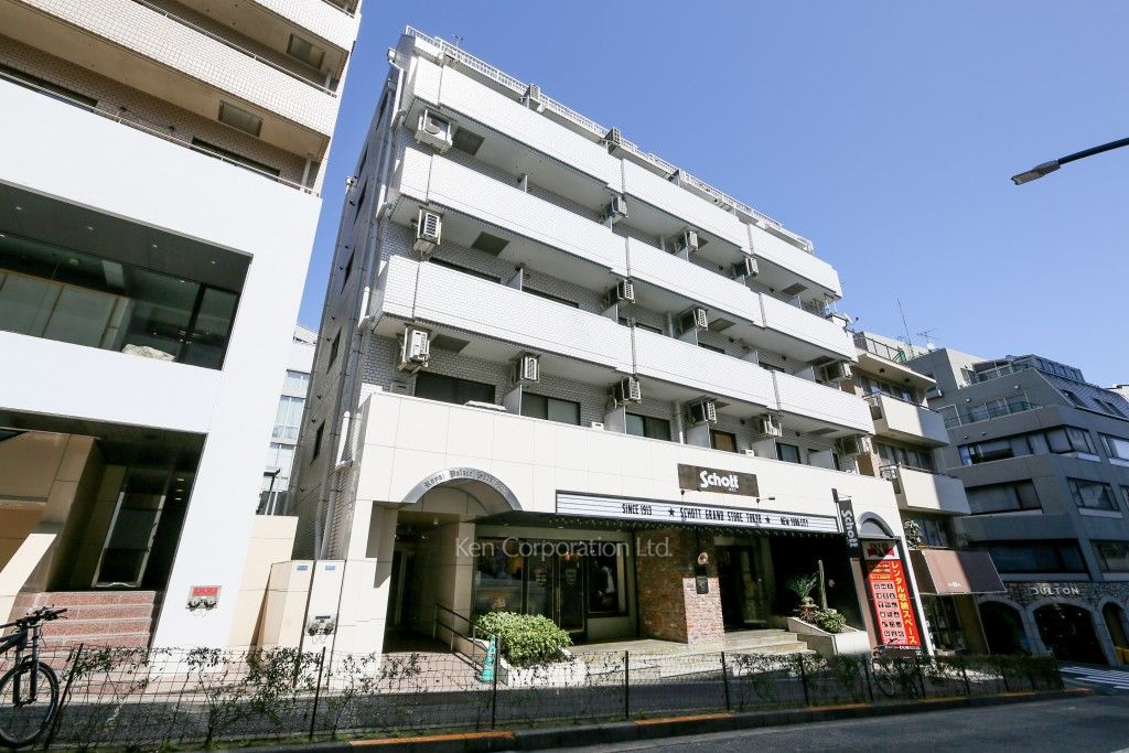 ロイヤルパレス原宿の写真 外観ひき