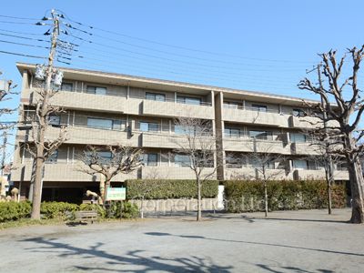  外観ひき