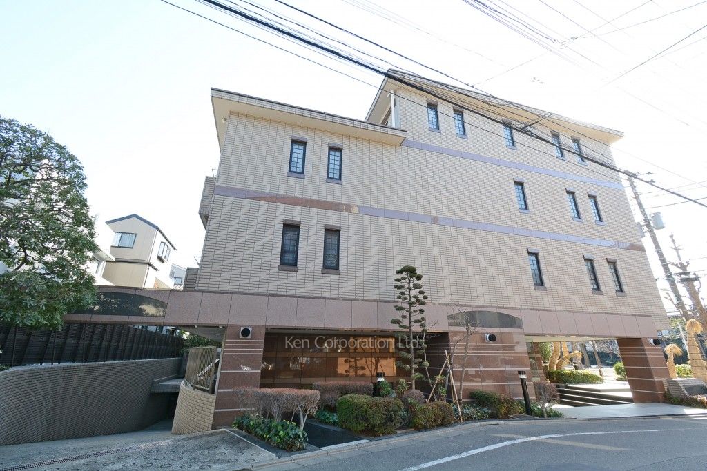  外観ひき