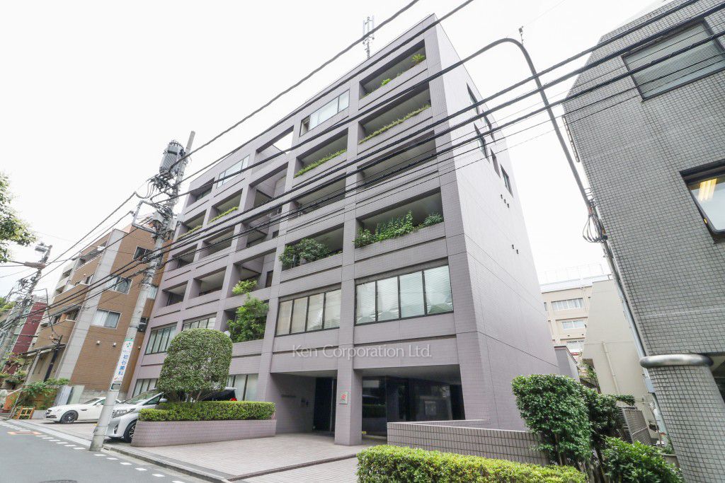  外観ひき