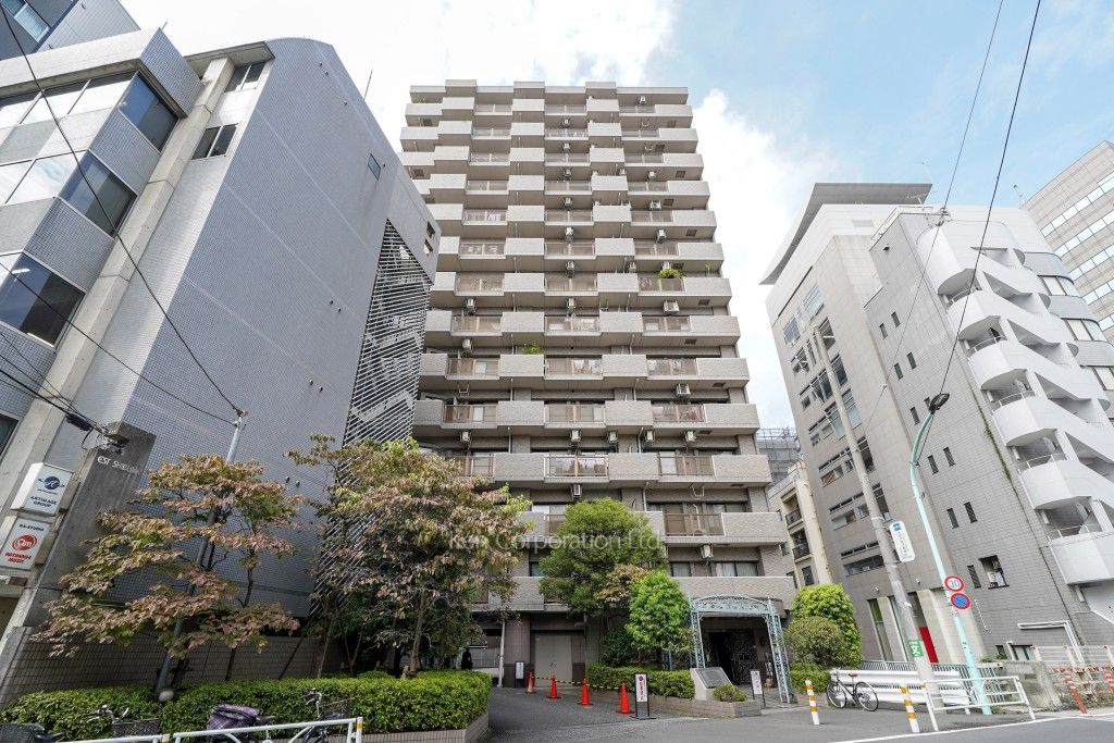 ライオンズマンション渋谷シティの写真 外観ひき