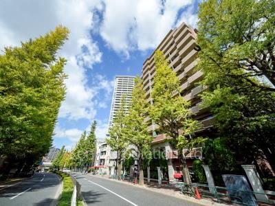  外観ひき