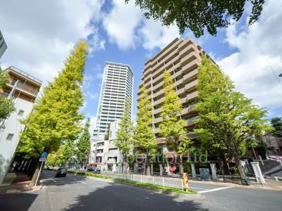  外観ひき