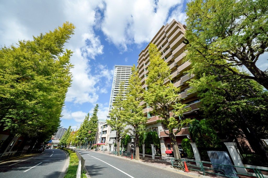  外観ひき