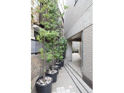 プラスパの写真 外観より