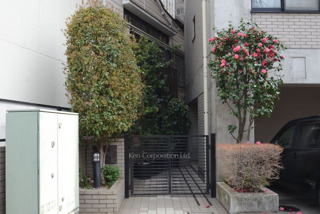 プラスパの写真 外観より