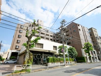  外観ひき