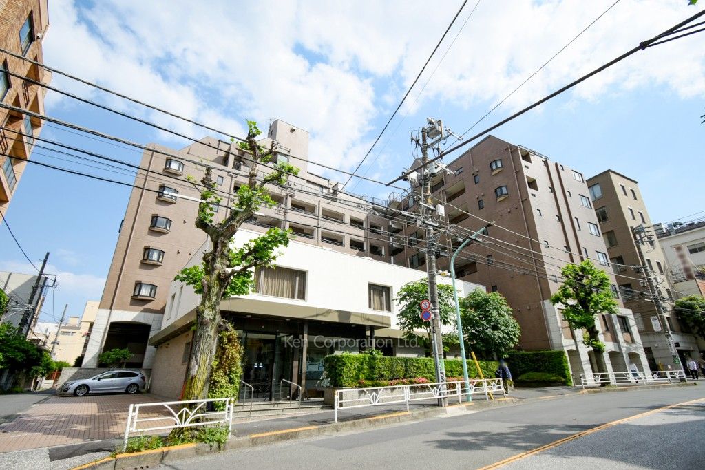  外観ひき