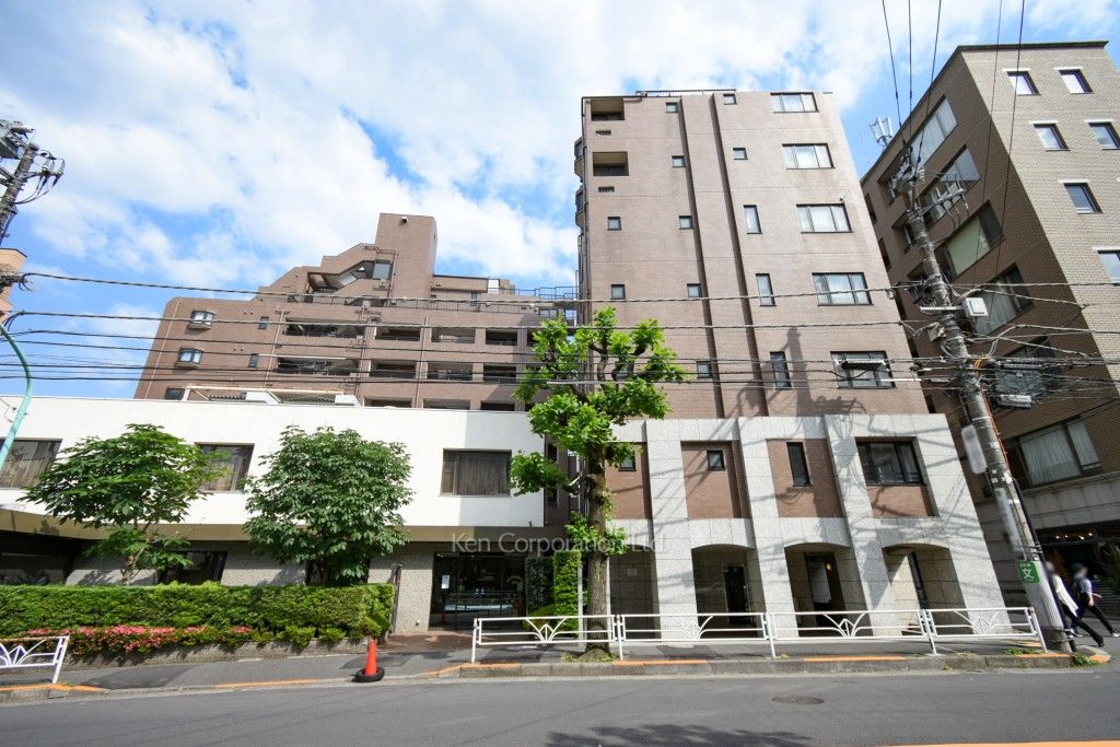  外観ひき