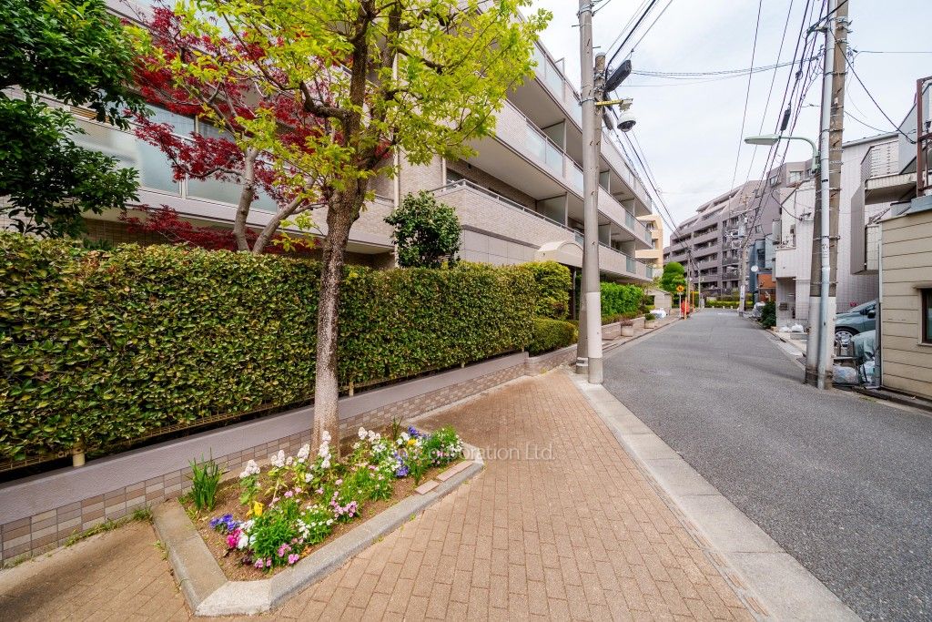  前面道路